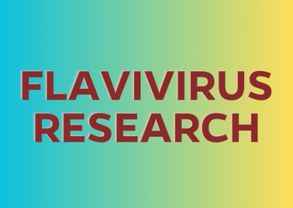 Flavivirus Research