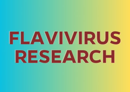 Flavivirus Research Flavivirus Research