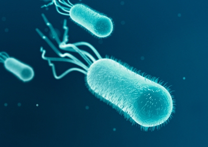 ETEC Bacteria ETEC Bacteria