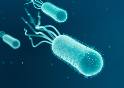 ETEC Bacteria