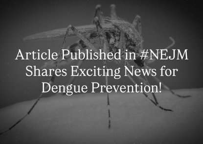 black and white photo of mosquito